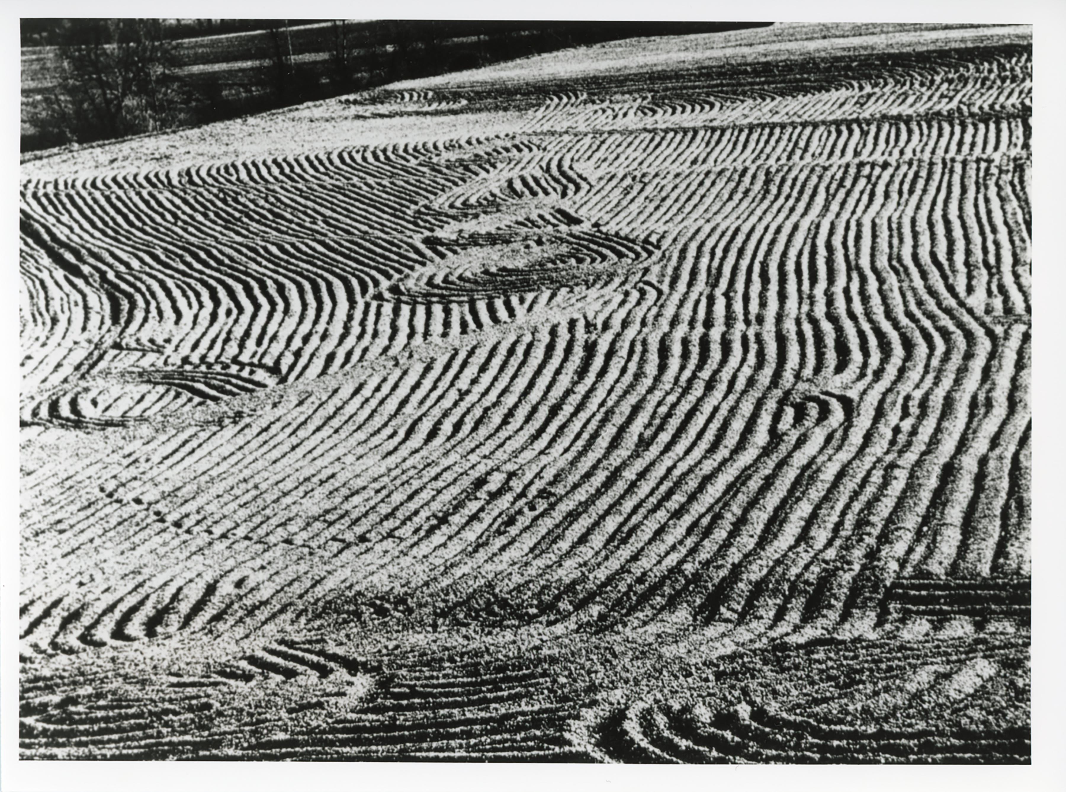 Mario Giacomelli, Paesaggio, 1956-1960
